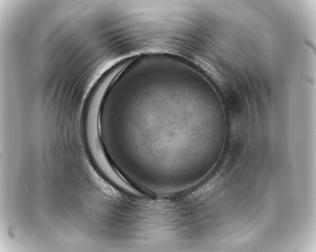 X0000094370934200711021527