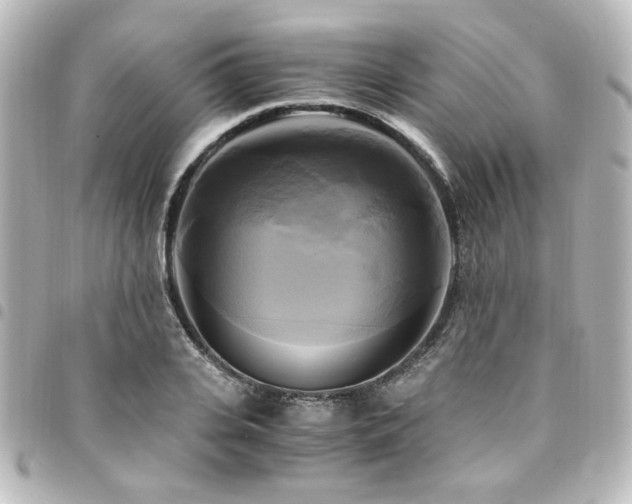 X0000094370935200711021527