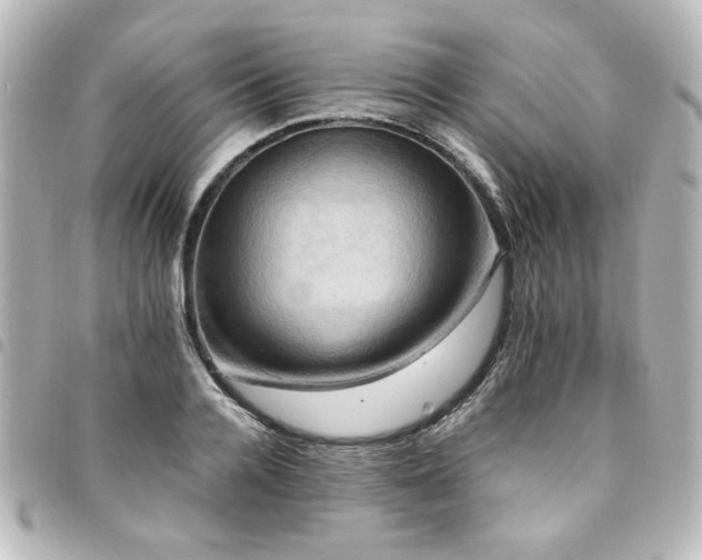 X0000094370936200711021527