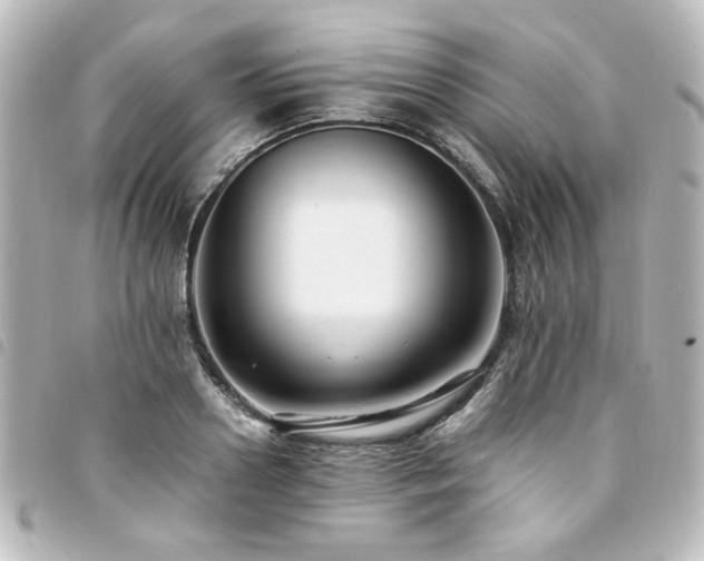X0000094370938200711021527