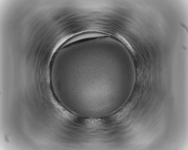 X0000094370939200711021527