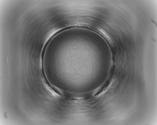 X0000094370940200711021527
