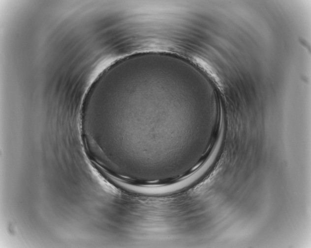 X0000094370942200711021527