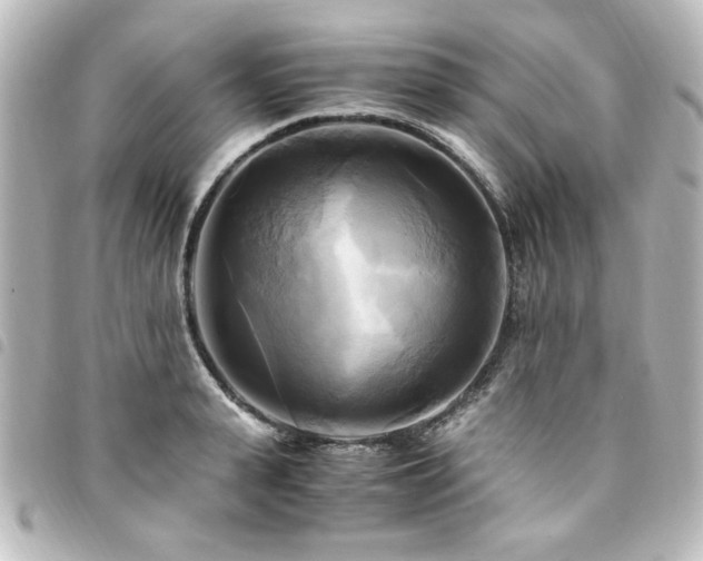 X0000094370943200711021527