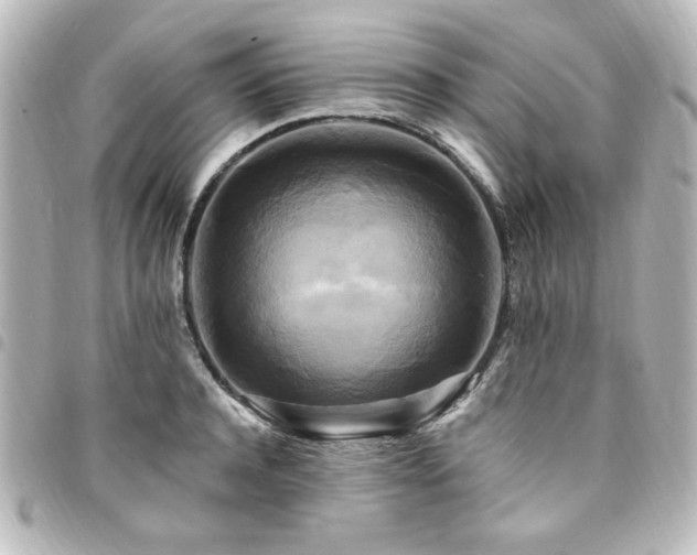 X0000094370944200711021527