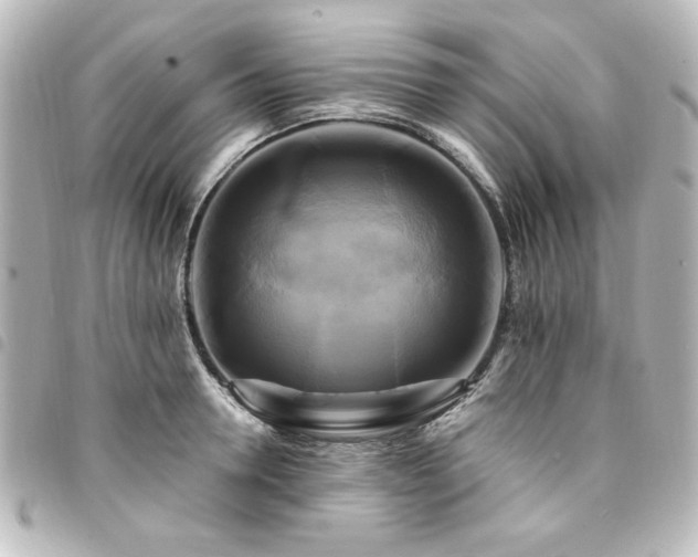 X0000094370946200711021527