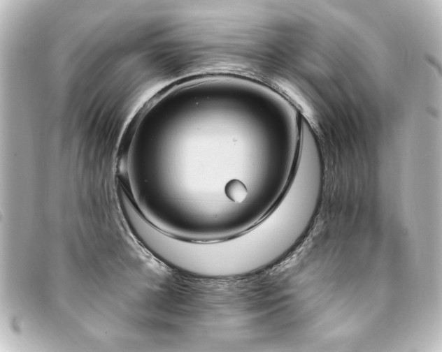 X0000094370948200711021527