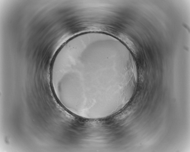 X0000094370950200711021527