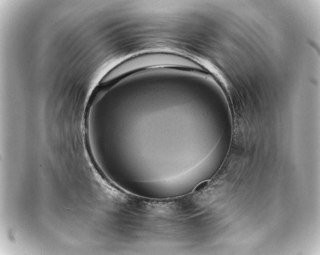 X0000094370951200711021527