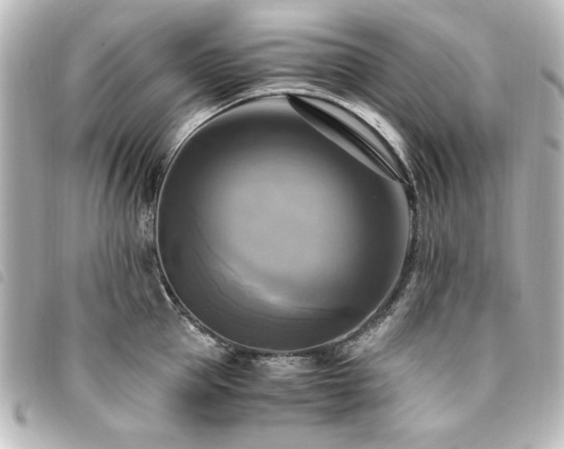 X0000094370953200711021527