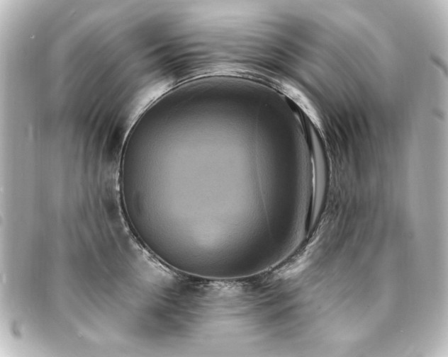X0000094370954200711021527