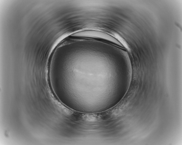 X0000094370955200711021527