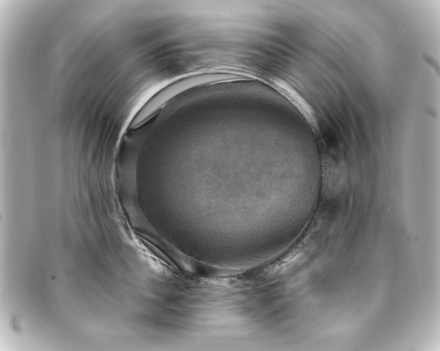 X0000094370956200711021527