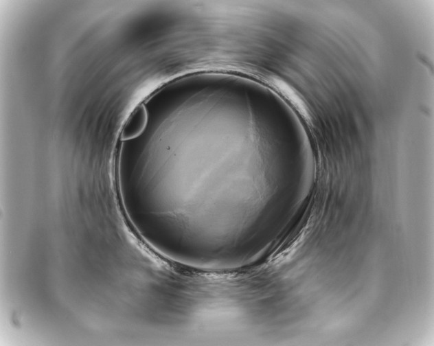 X0000094370958200711021527