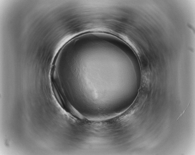 X0000094370959200711021527