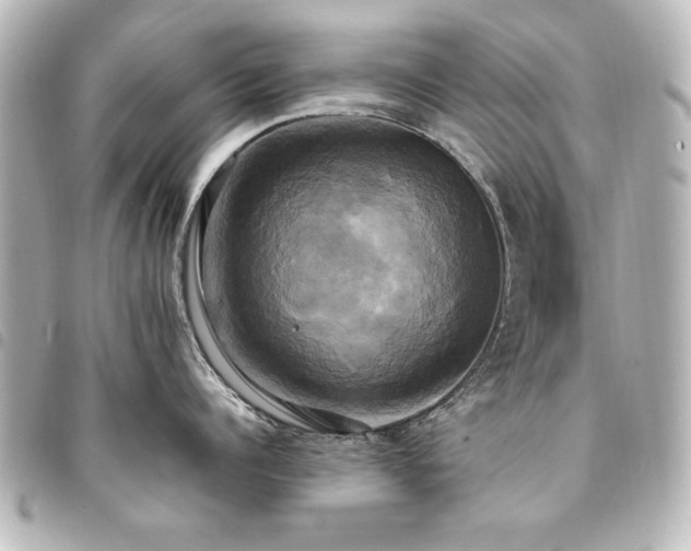 X0000094370960200711021527