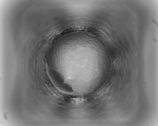 X0000094370961200711021527