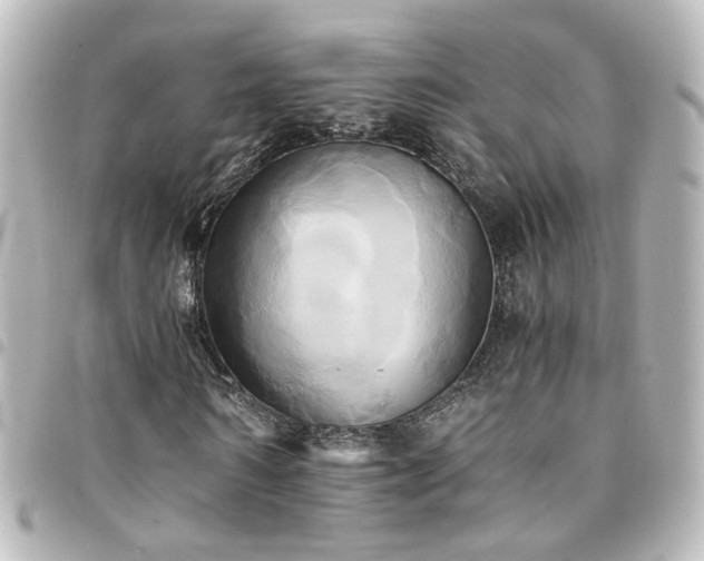 X0000094370962200711021527