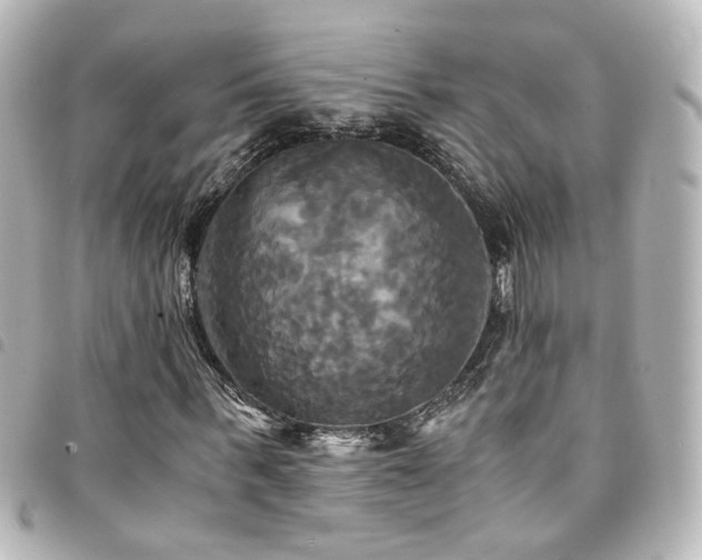 X0000094370963200711021527