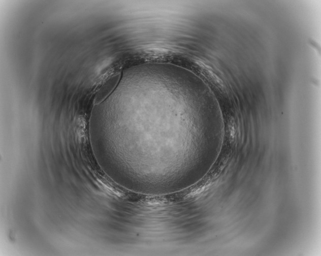 X0000094370964200711021527