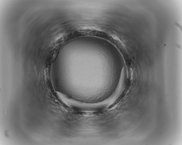 X0000094370965200711021527