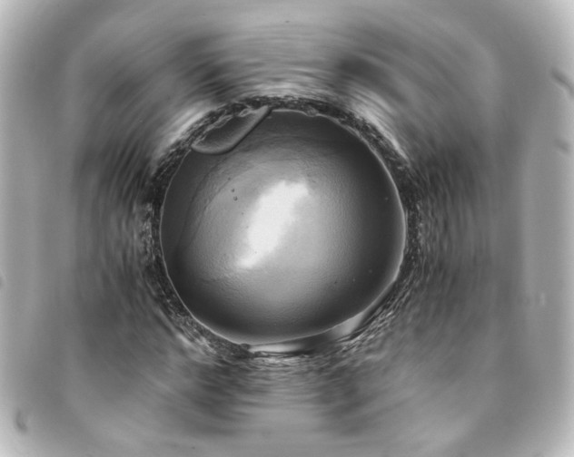 X0000094370968200711021527
