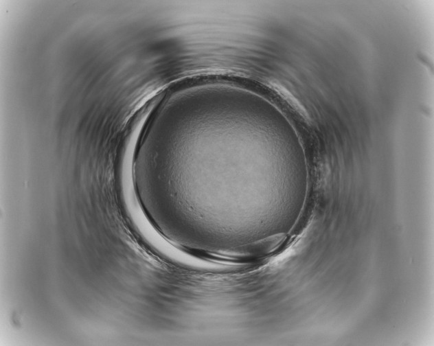 X0000094370969200711021527