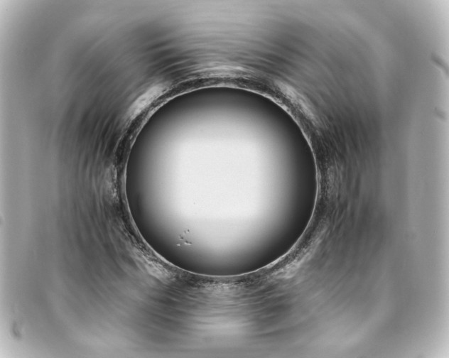X0000094370970200711021527