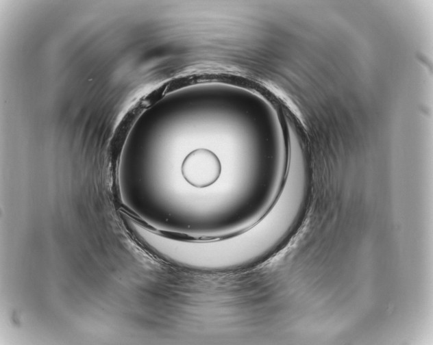 X0000094370973200711021527