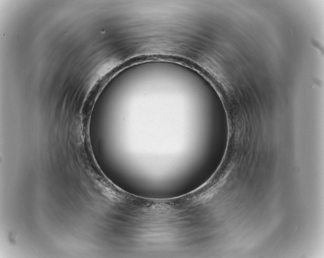 X0000094370974200711021527