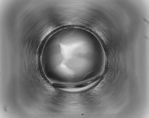X0000094370975200711021527