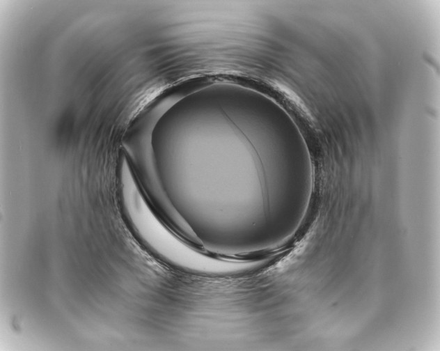 X0000094370977200711021527