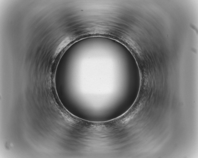 X0000094370978200711021527