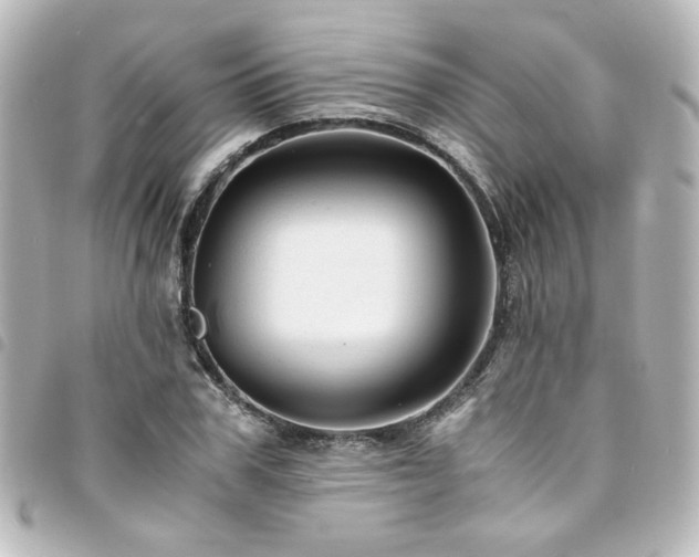 X0000094370979200711021527