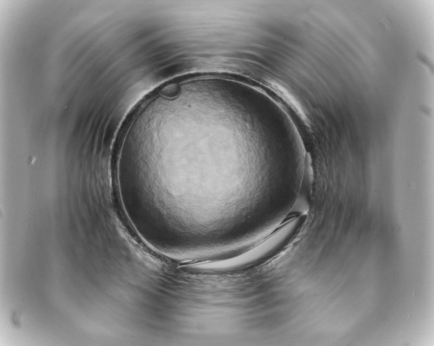 X0000094370980200711021527