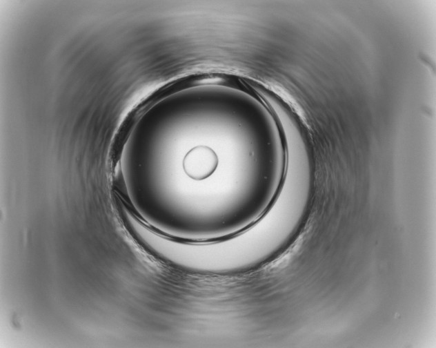 X0000094370981200711021527