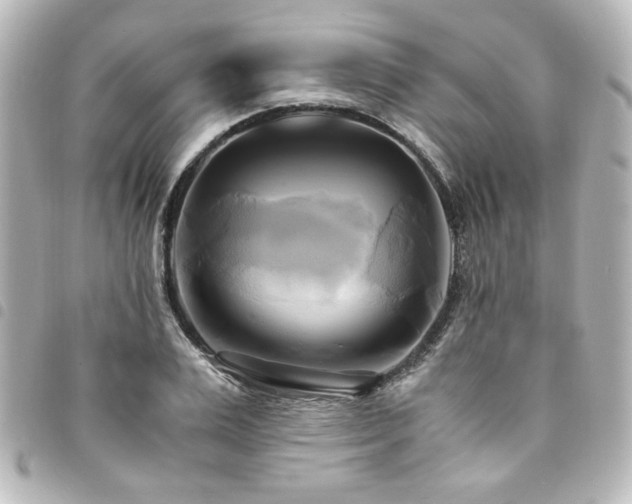 X0000094370983200711021527
