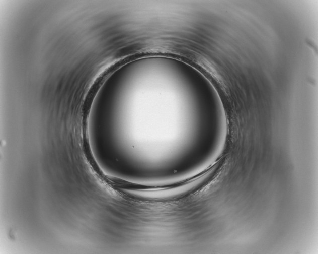 X0000094370984200711021527