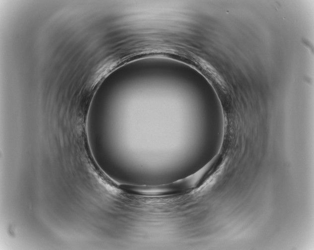 X0000094370985200711021527