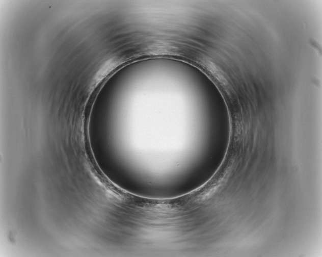 X0000094370986200711021527