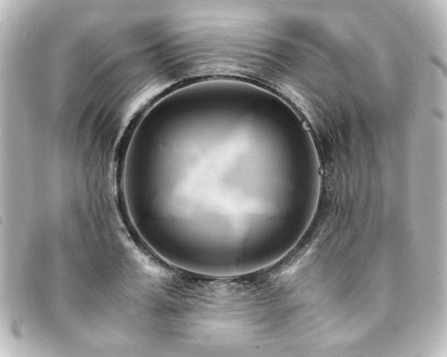 X0000094370987200711021527
