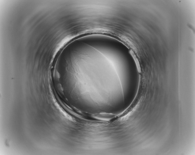 X0000094370989200711021527