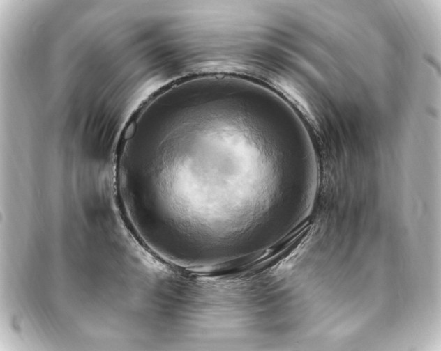 X0000094370992200711021527
