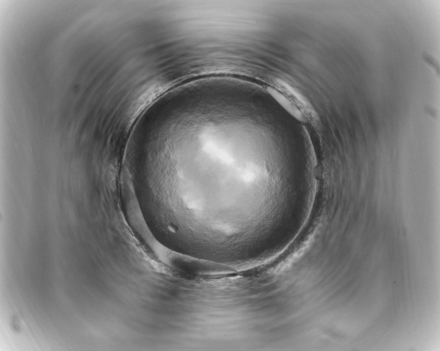 X0000094370993200711021526
