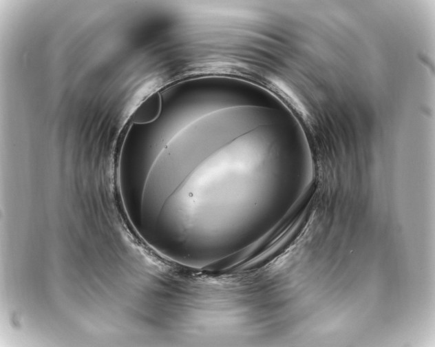 X0000094370994200711021526