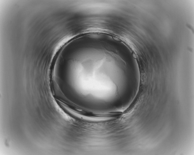 X0000094370995200711021526