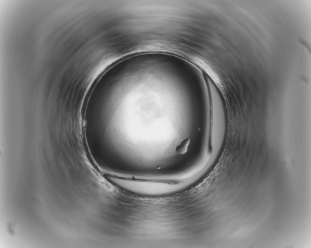 X0000094370996200711021526