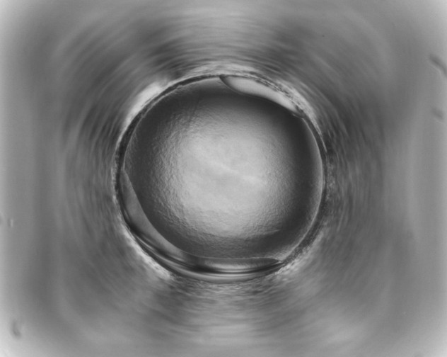X0000094370997200711021526