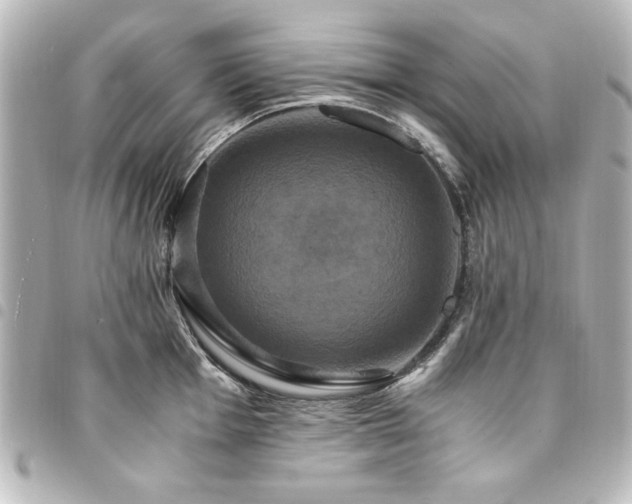 X0000094371001200711021526