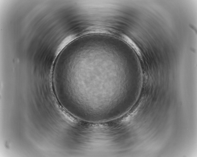 X0000094371002200711021526